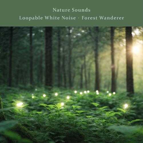贵族音乐《大自然声息 白噪音不间断 森林的梦游者》[320K/MP3][91.51MB]